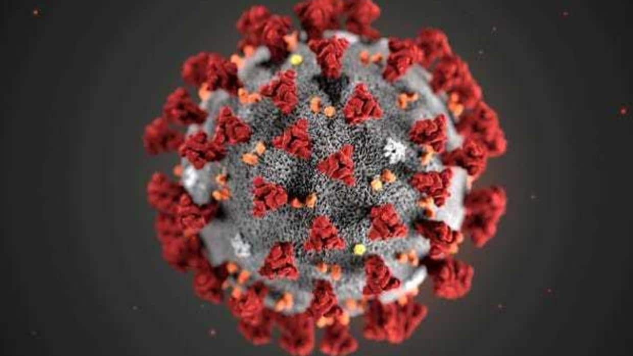 Coronavirus: les détectives se précipitent pour contenir le virus à Singapour Coronavirus: les détectives se précipitent pour contenir le virus à Singapour