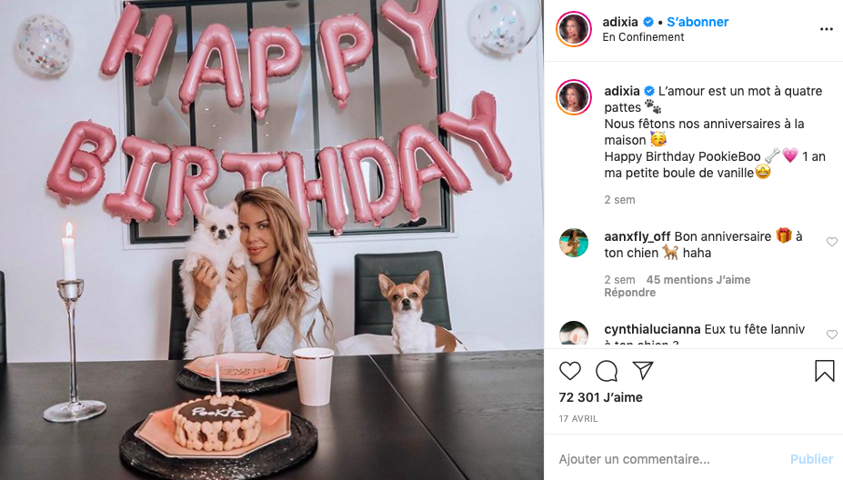 adixia celebre l anniversaire de ses chien