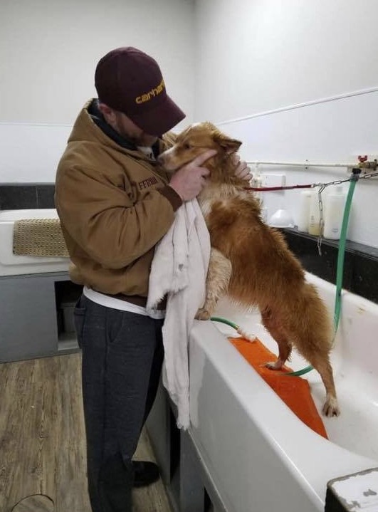Bella retrouve son maître