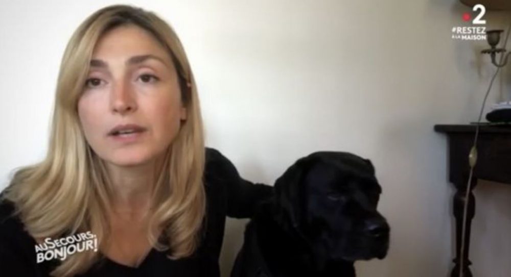 Julie Gayet demande aux français de ne pas abandonner leurs animaux