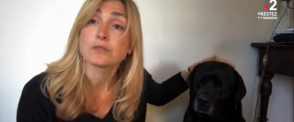 Julie Gayet souhaite réduire les abandons des animaux de compagnie