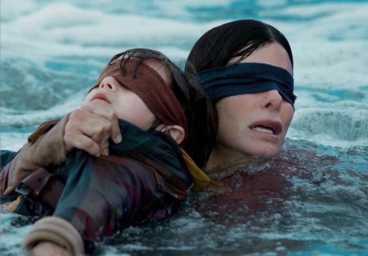 Bird Box