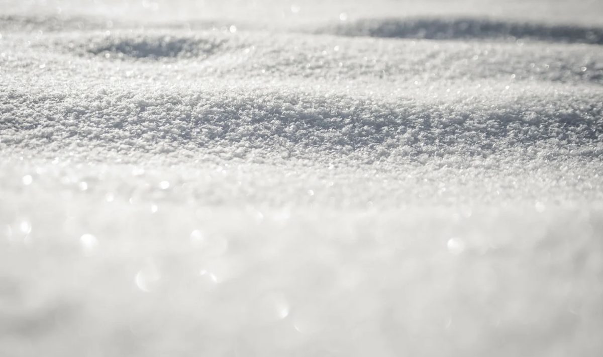 Neige