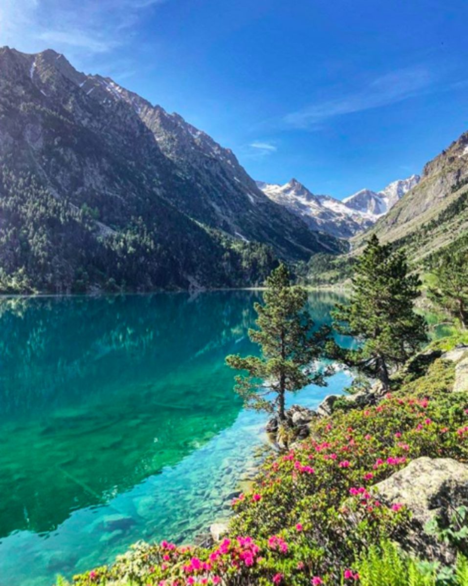 Pyrenees
