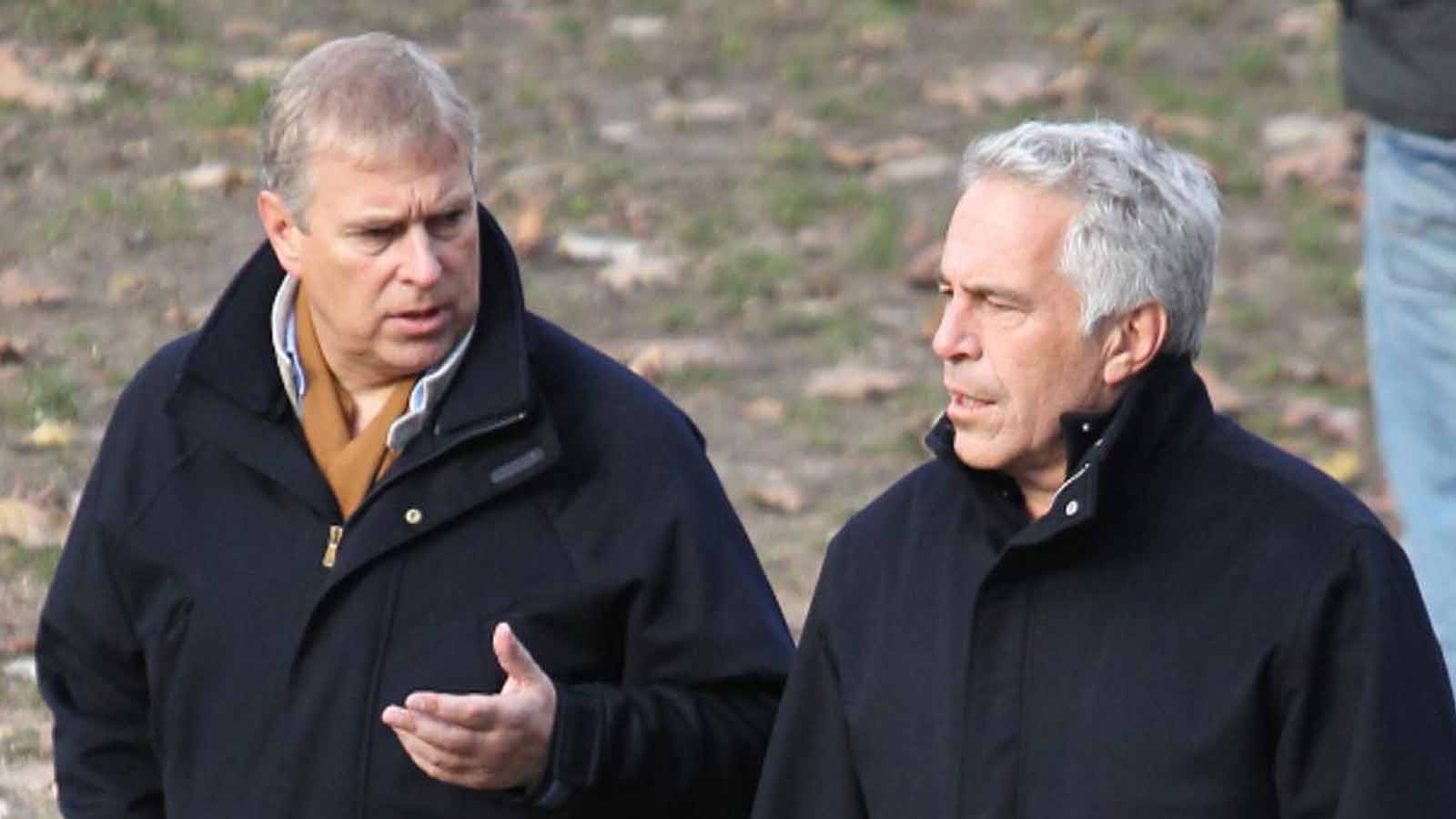 Andrew et Jeffrey Epstein