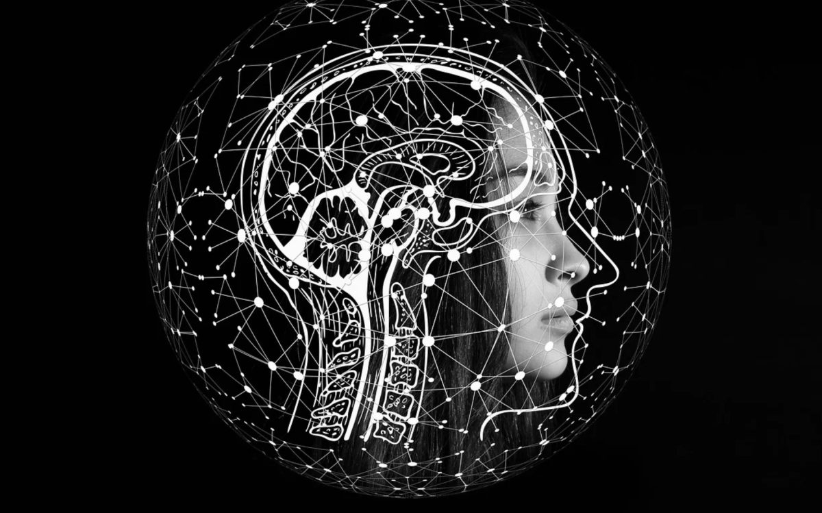 Cerveau