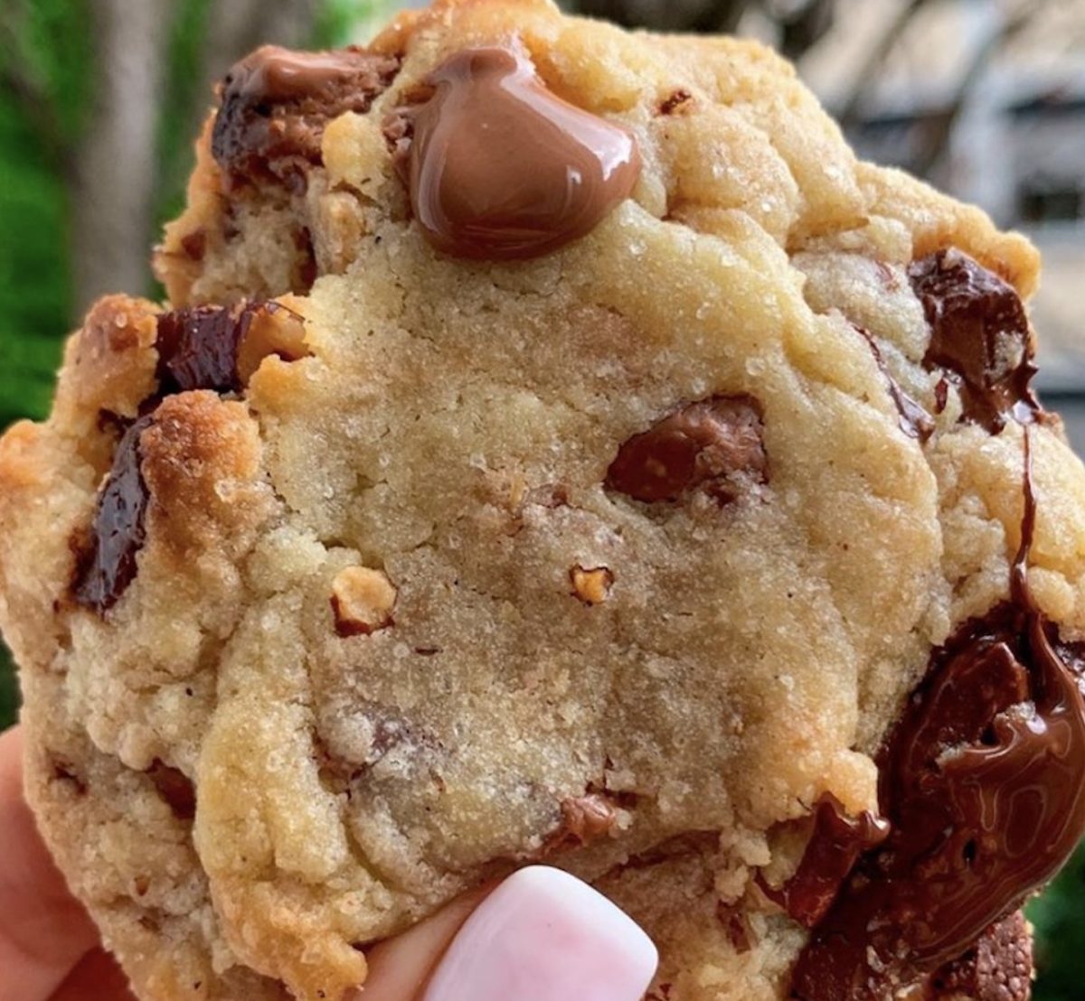 Cookies