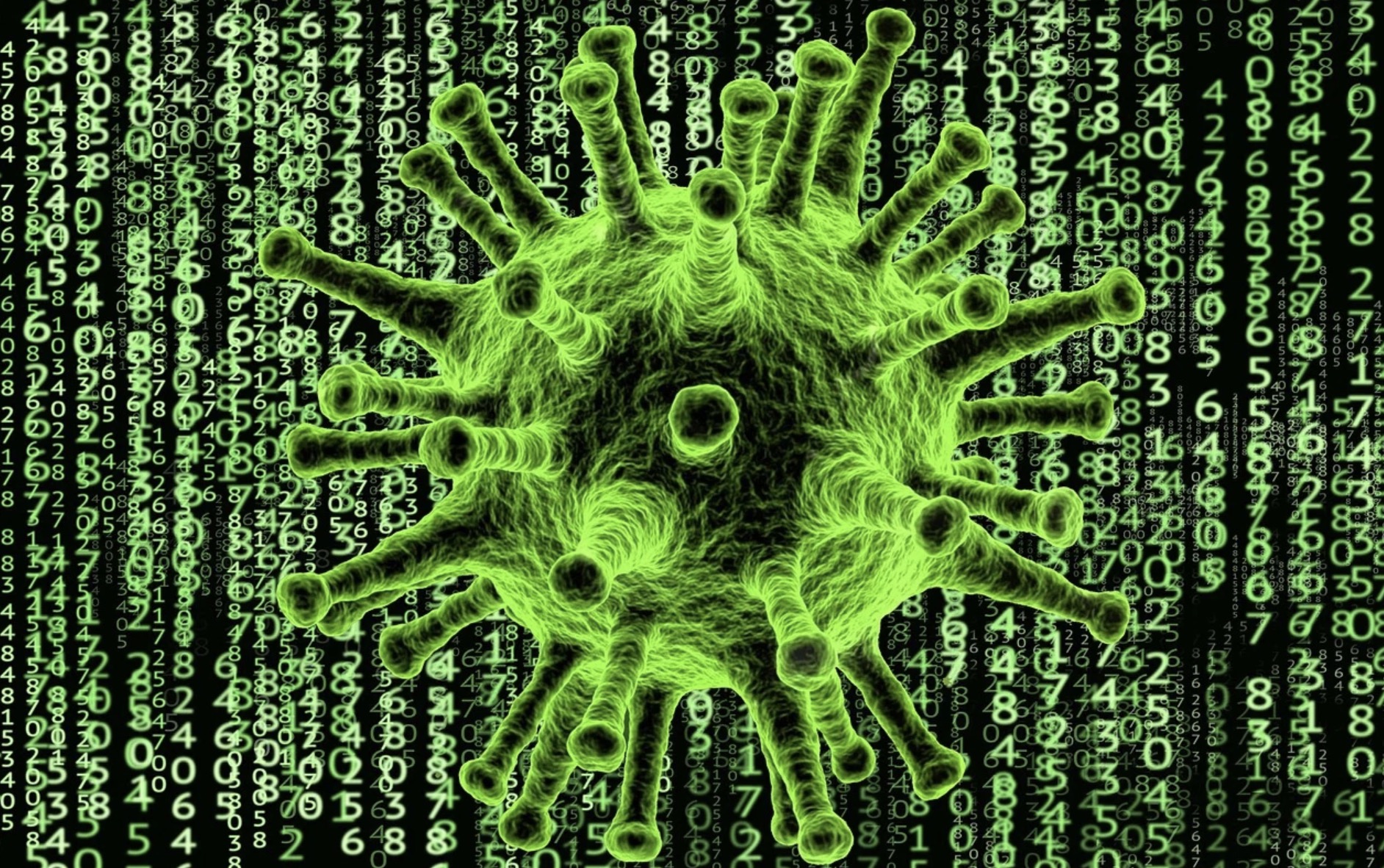 Coronavirus