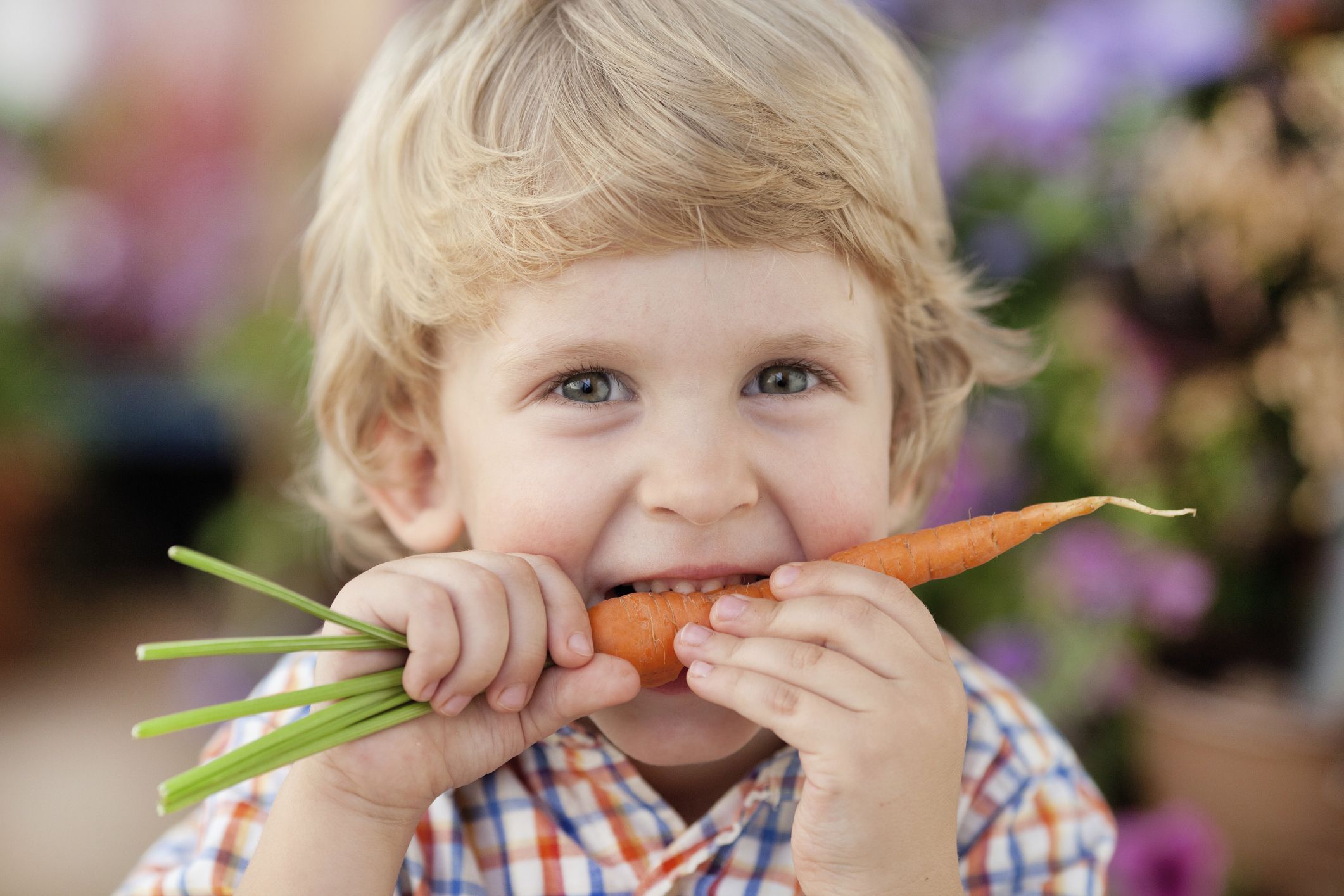 Enfant qui mange une carotte