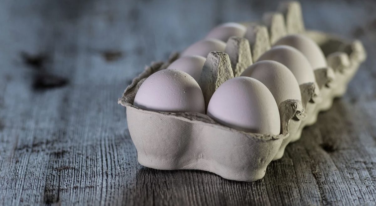 Oeuf
