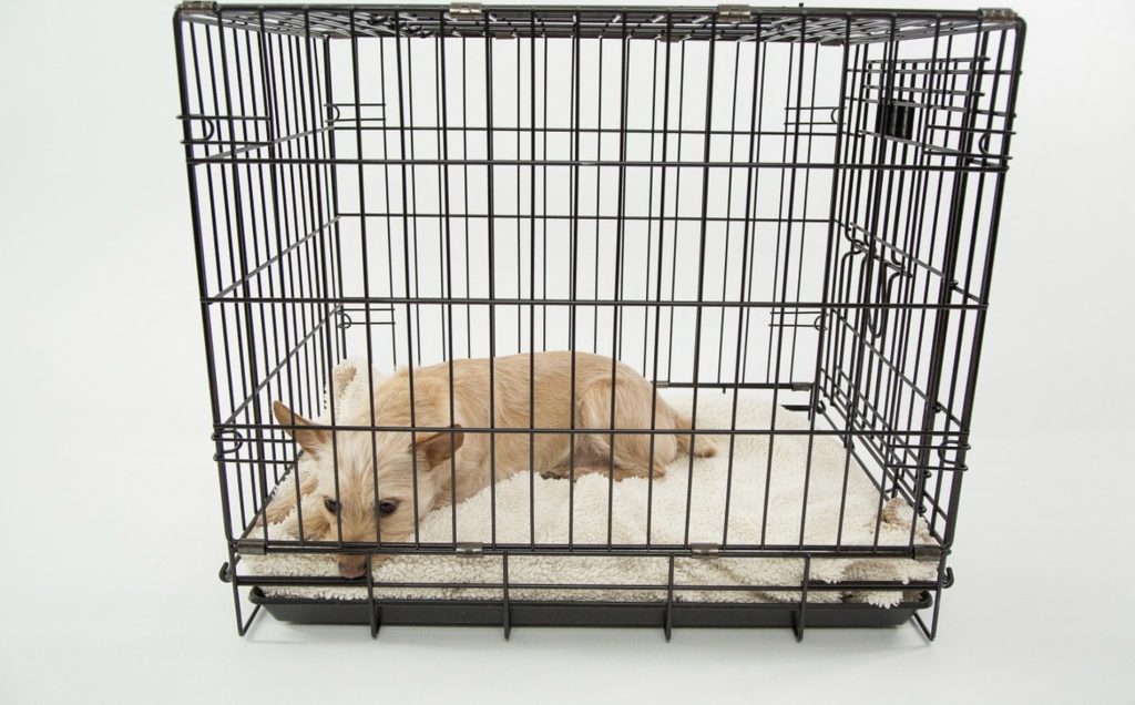 Cage de transport