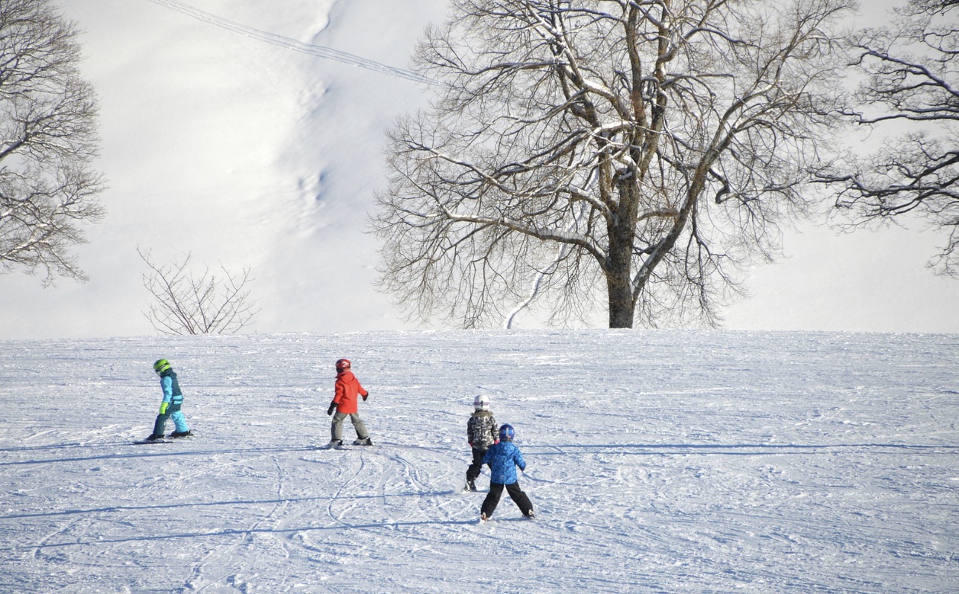 Ski