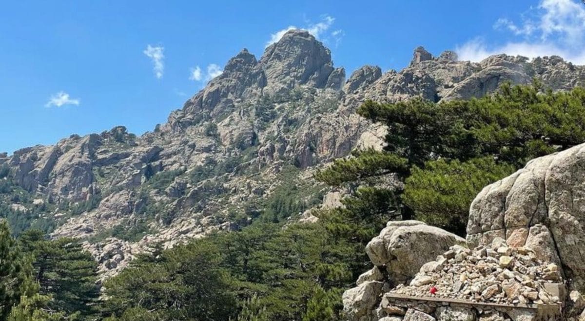 Corse
