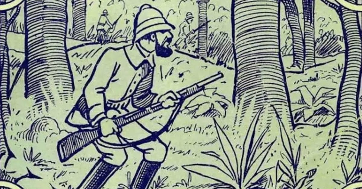 Défi visuel éléphant