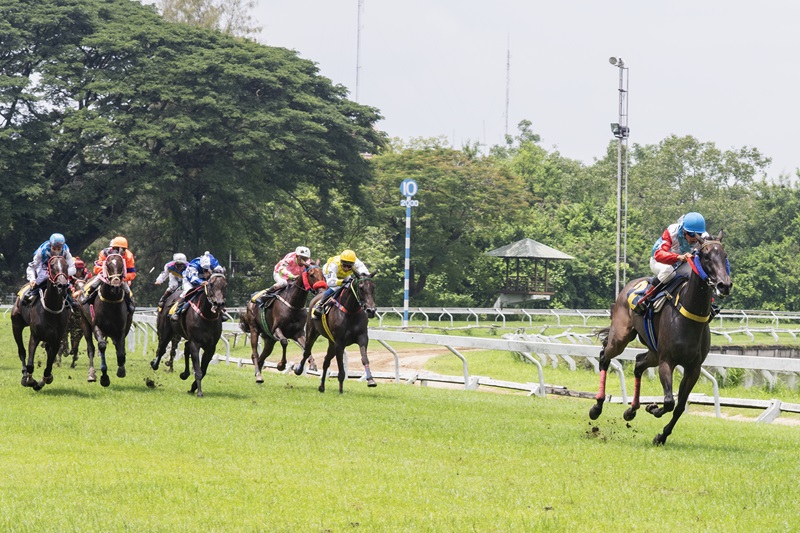 L’ascension spectaculaire des femmes jockeys dans le monde du turf