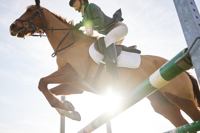 L’ascension spectaculaire des femmes jockeys dans le monde du turf